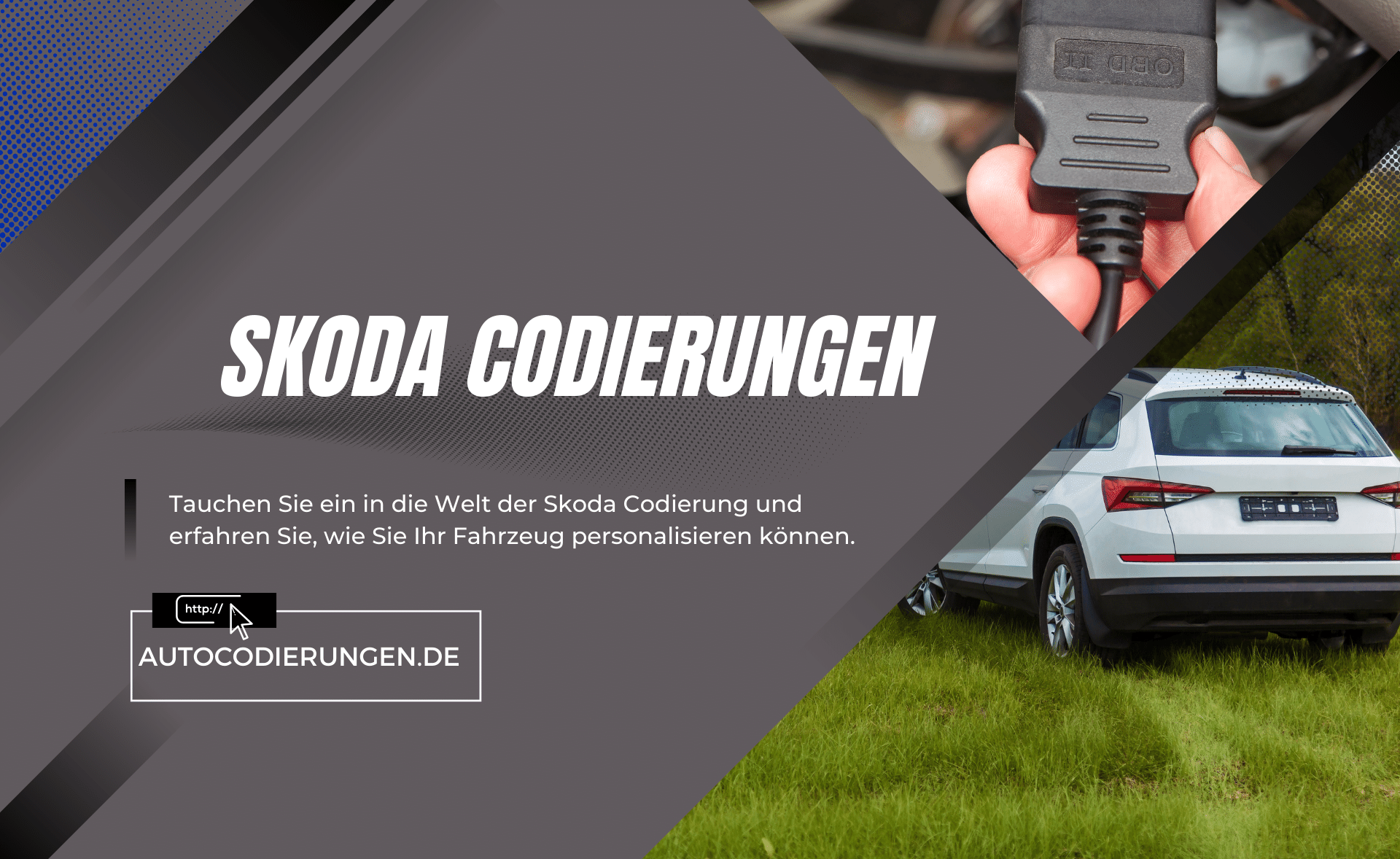 Skoda Codierungen