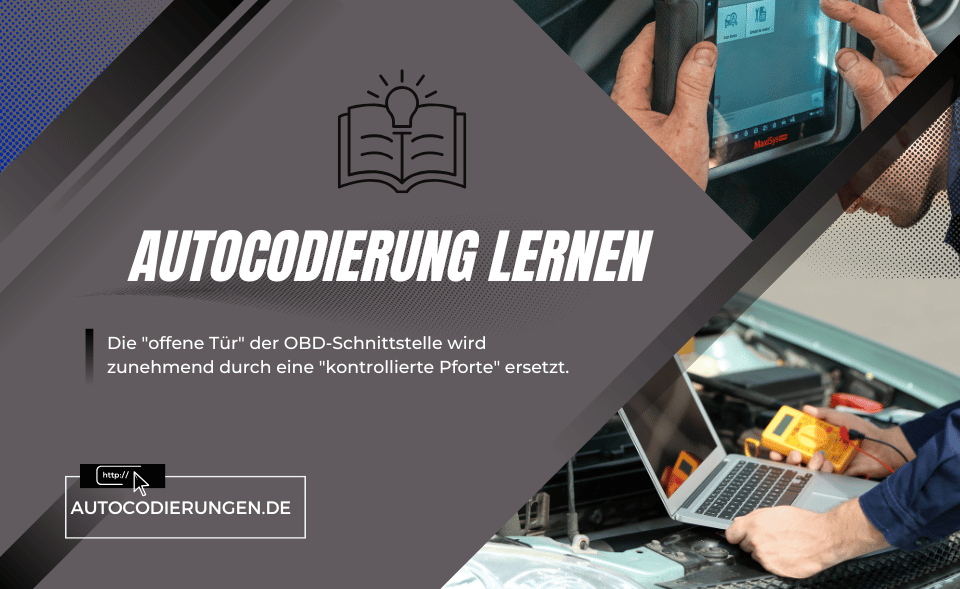 Autocodierung lernen – Programmieren von Fahrzeugen